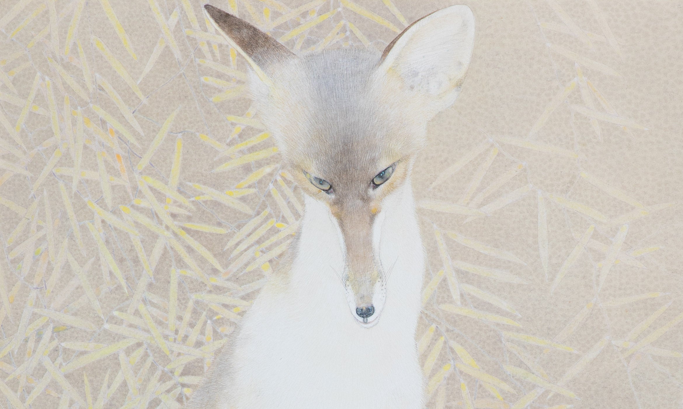 Kouichi Takeuchi