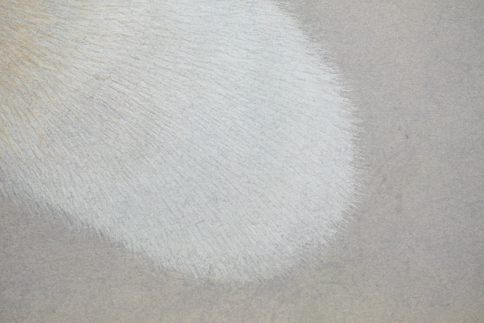 alt="Close-up detail of Kitsune (The Fox) painting showing the fox’s fur texture and piercing gaze by Koichi Takeuchi in Nihonga style"