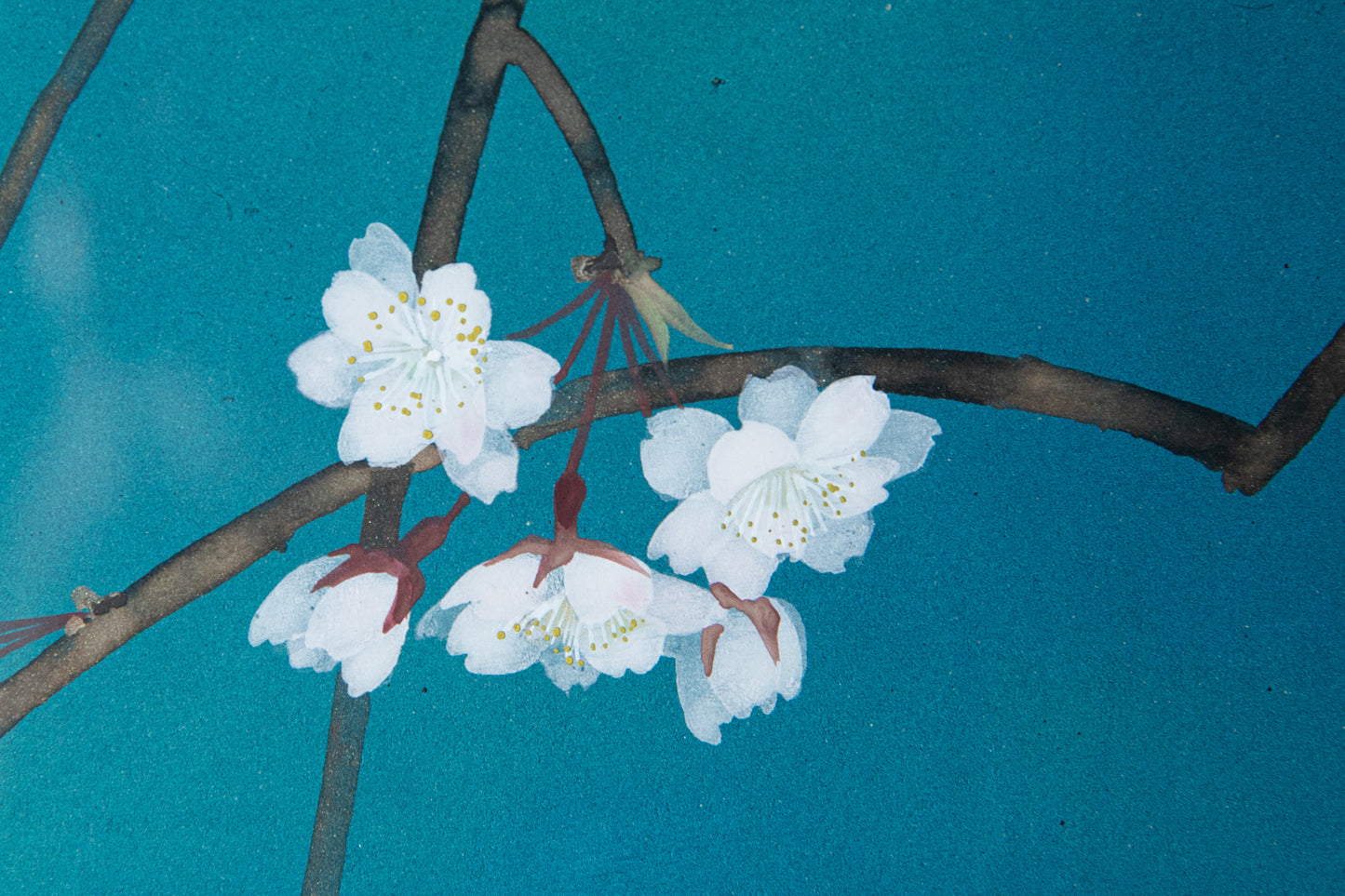 Dreaming Moon painting with cherry blossoms and a faint moon reflection by Susumu Maki in Nihonga style

