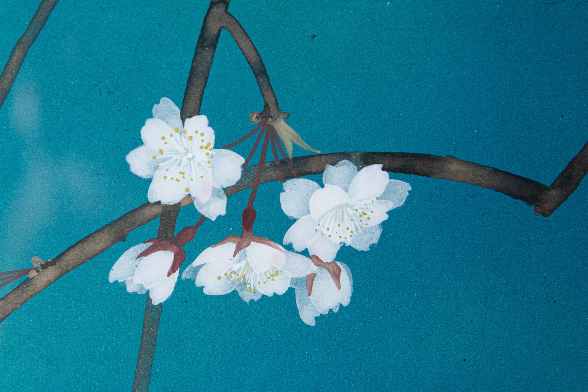 Dreaming Moon painting with cherry blossoms and a faint moon reflection by Susumu Maki in Nihonga style
