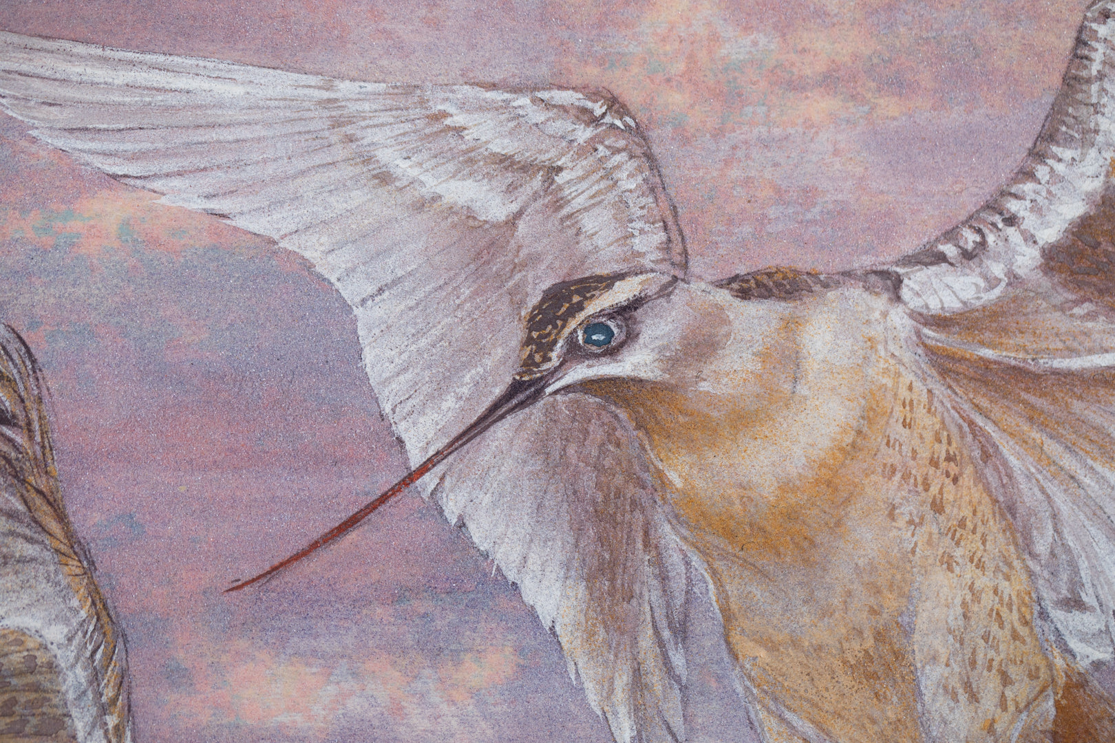 alt="Close-up detail of Akaneiro no Toki (Madder-Red Sky) painting showing the snipe in flight and gradation of evening sky by Yoshiyuki Nakano in Nihonga style"
