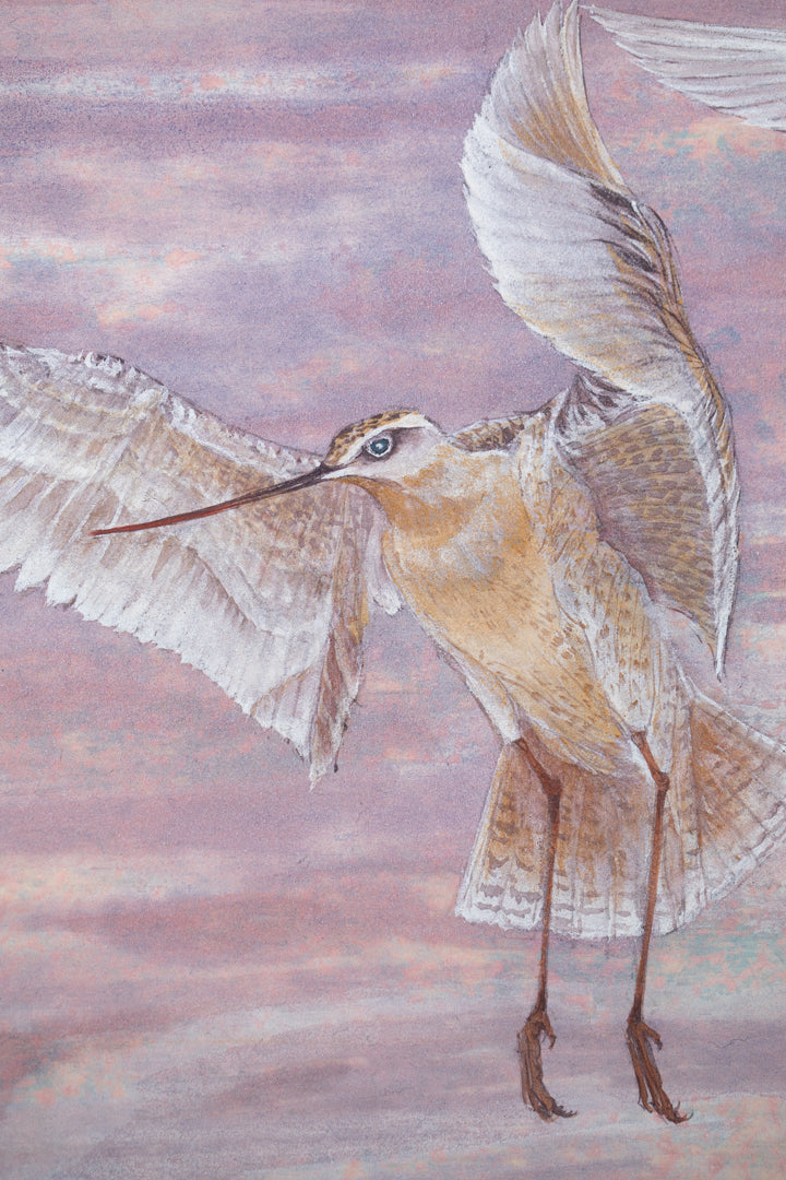 alt="Close-up detail of Akaneiro no Toki (Madder-Red Sky) painting showing the snipe in flight and gradation of evening sky by Yoshiyuki Nakano in Nihonga style"
