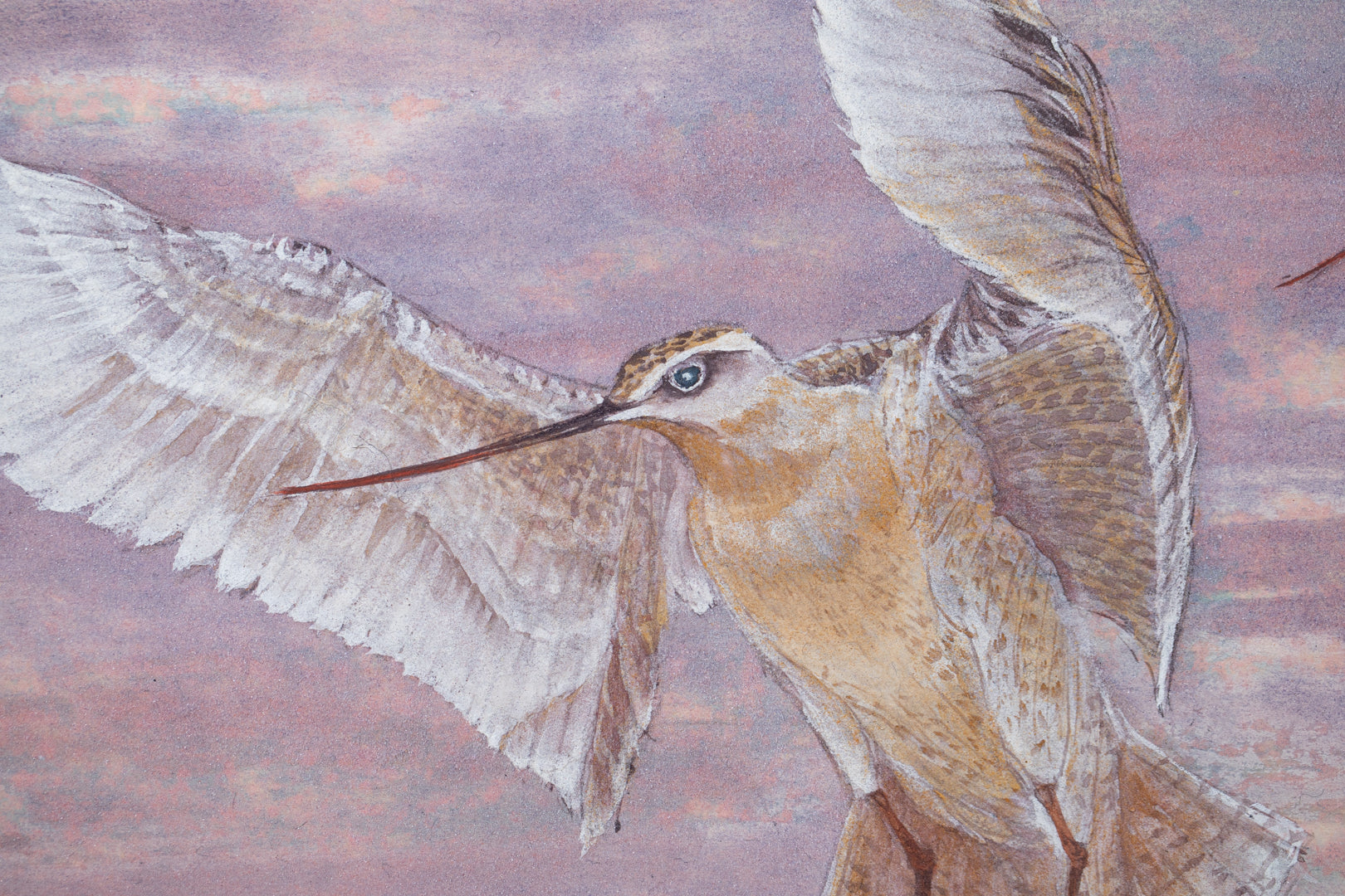 alt="Close-up detail of Akaneiro no Toki (Madder-Red Sky) painting showing the snipe in flight and gradation of evening sky by Yoshiyuki Nakano in Nihonga style"
