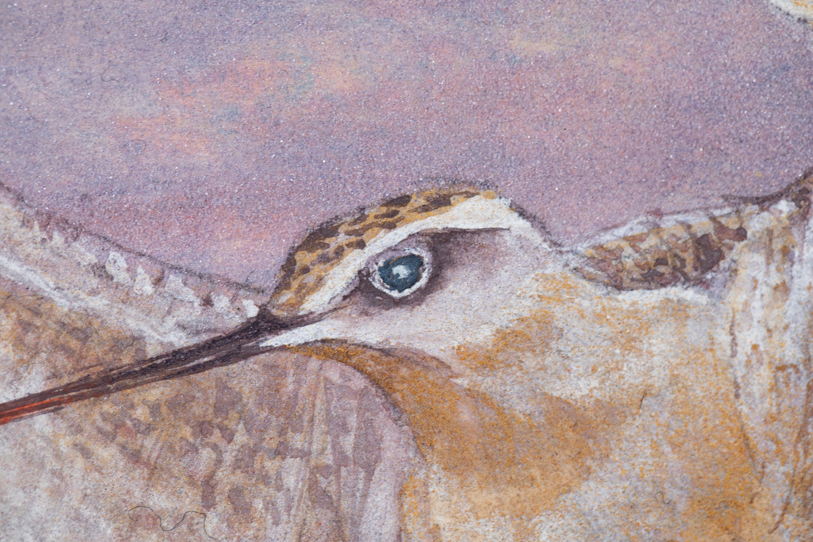 alt="Close-up detail of Akaneiro no Toki (Madder-Red Sky) painting showing the snipe in flight and gradation of evening sky by Yoshiyuki Nakano in Nihonga style"
