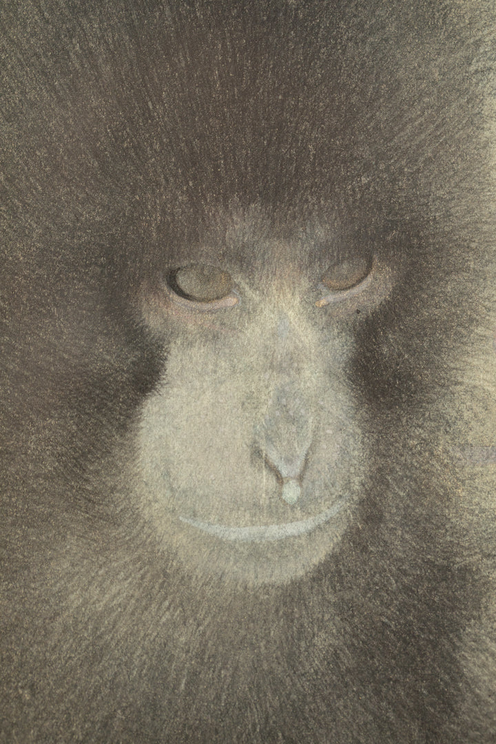 alt="Close-up detail of Gen painting by Koichi Takeuchi in Nihonga style"
