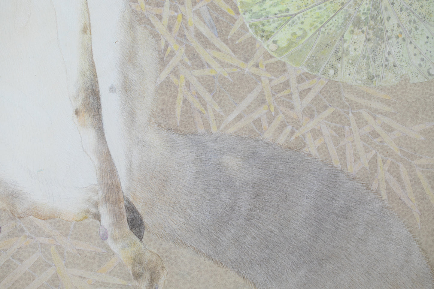 alt="Close-up detail of The Silver Night painting showing the silver fox and surrounding plants by Koichi Takeuchi in Nihonga style"
