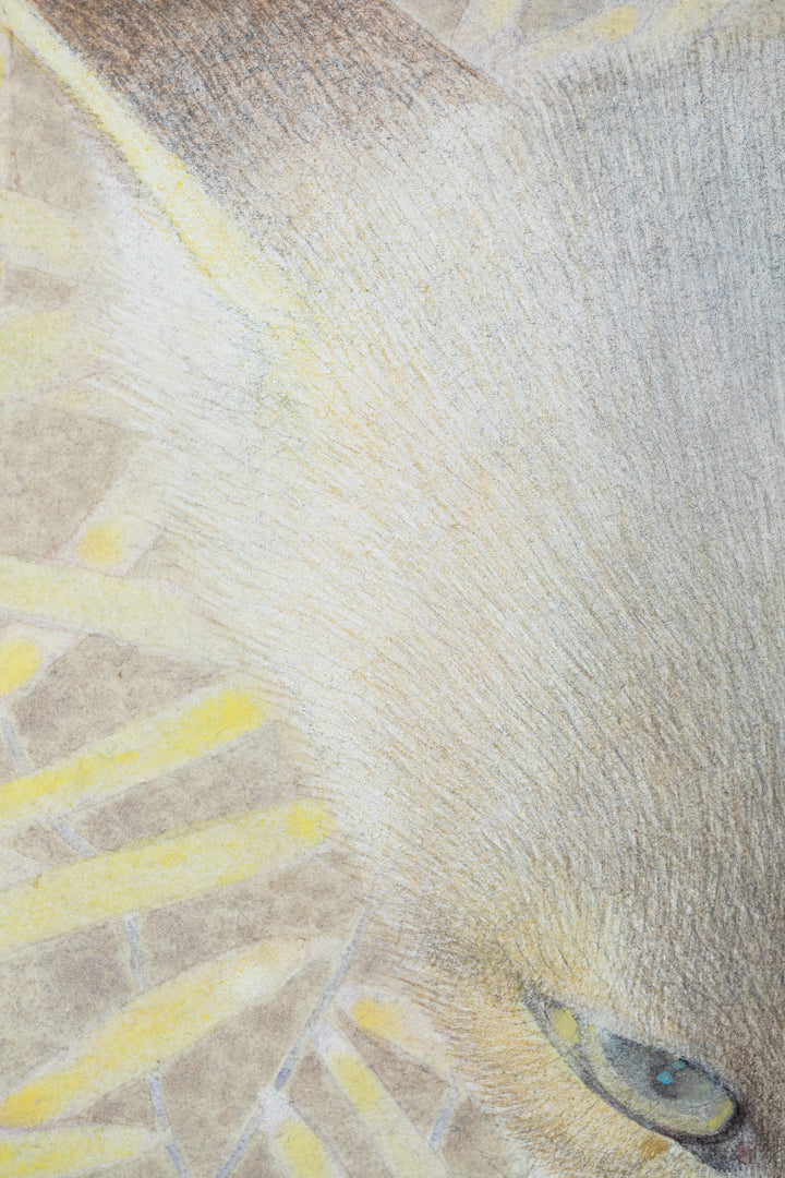 alt="Close-up detail of The Silver Night painting showing the silver fox and surrounding plants by Koichi Takeuchi in Nihonga style"
