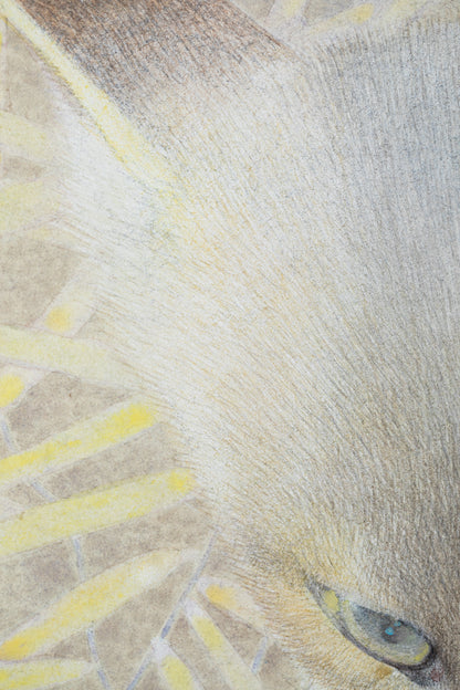 alt="Close-up detail of The Silver Night painting showing the silver fox and surrounding plants by Koichi Takeuchi in Nihonga style"
