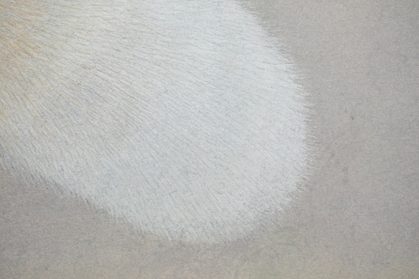 alt="Close-up detail of Kitsune (The Fox) painting showing the fox’s fur texture and piercing gaze by Koichi Takeuchi in Nihonga style"
