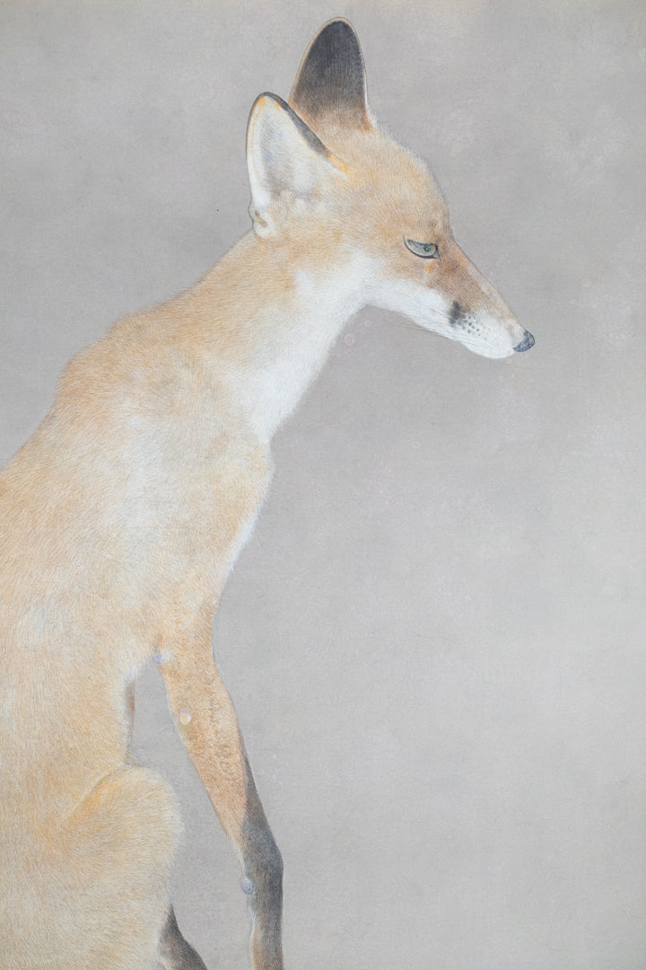 alt="Close-up detail of Kitsune (The Fox) painting showing the fox’s fur texture and piercing gaze by Koichi Takeuchi in Nihonga style"
