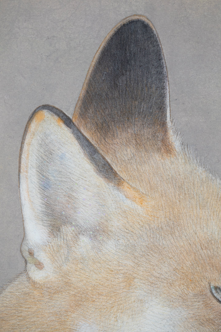 alt="Close-up detail of Kitsune (The Fox) painting showing the fox’s fur texture and piercing gaze by Koichi Takeuchi in Nihonga style"
