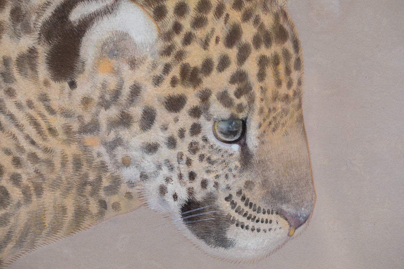 Detail close-up of a jaguar’s face from the Nihonga painting “madara” by Koichi Takeuchi