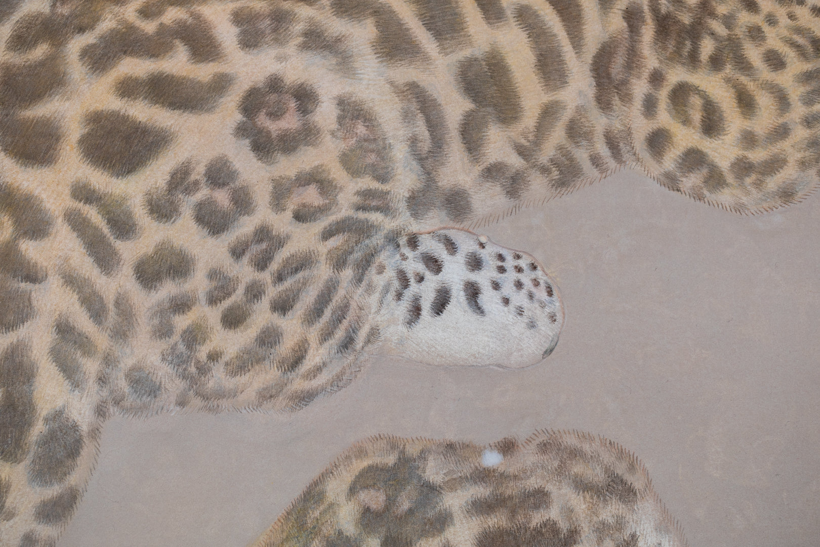 Detail close-up of a jaguar’s leg from the Nihonga painting “madara” by Koichi Takeuchi