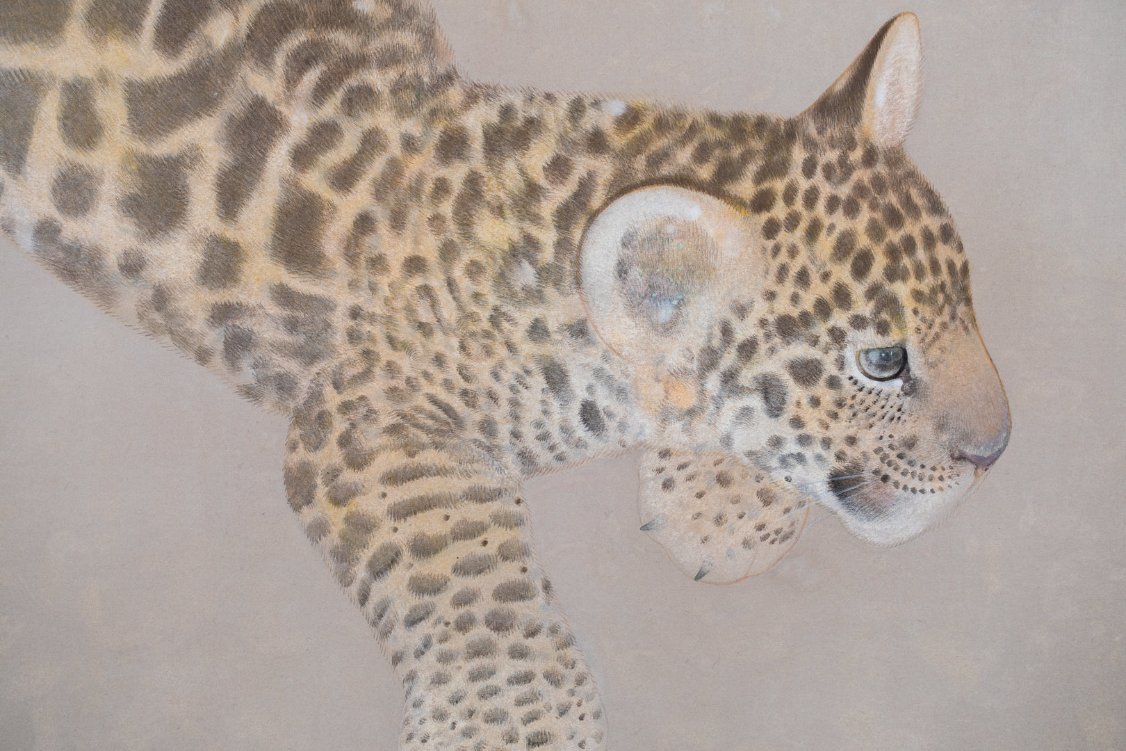 Detail close-up of a jaguar’s face from the Nihonga painting “madara” by Koichi Takeuchi